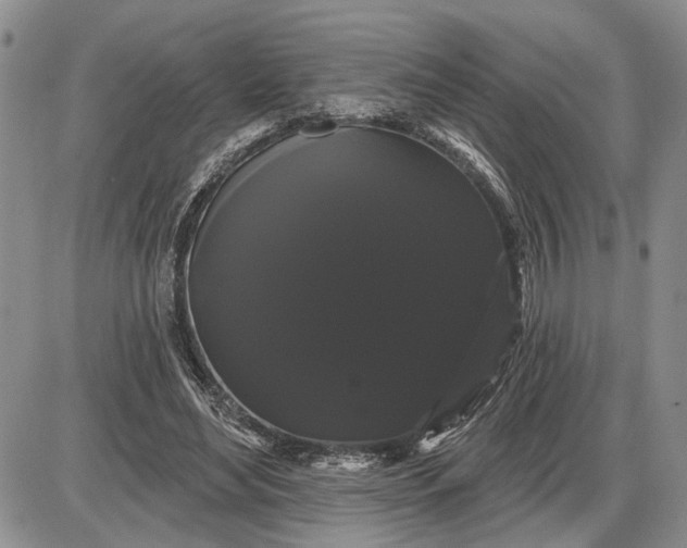 X0000085220492200703231536