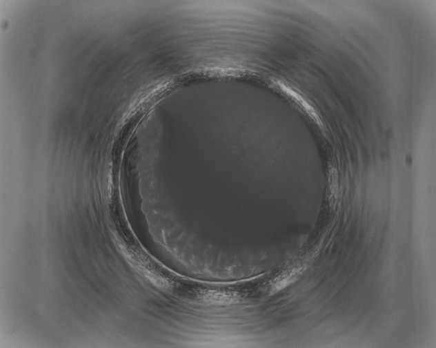 X0000085220494200703231536