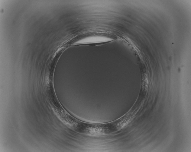 X0000085220500200703231536