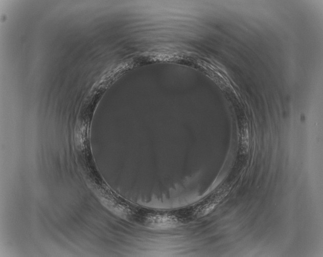 X0000085220503200703231536