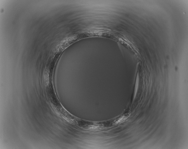 X0000085220504200703231536