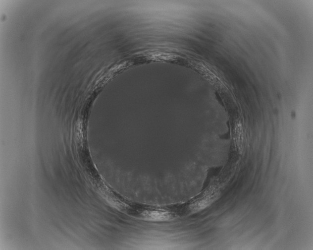 X0000085220506200703231536