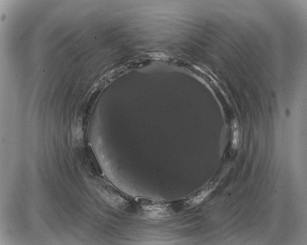 X0000085220516200703231536