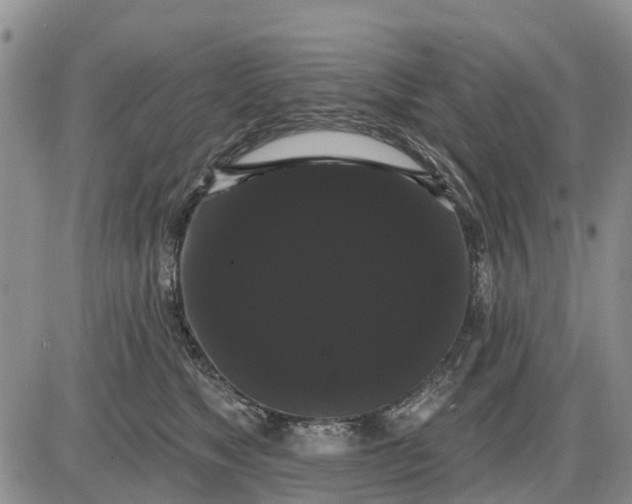 X0000085220517200703231536