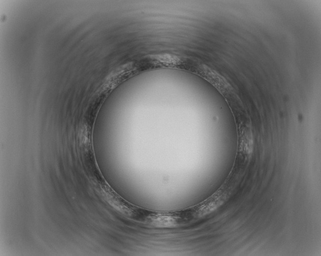 X0000085220518200703231536