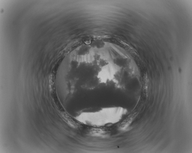 X0000085220519200703231536
