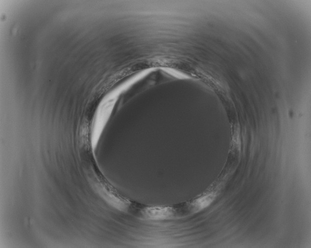 X0000085220526200703231536