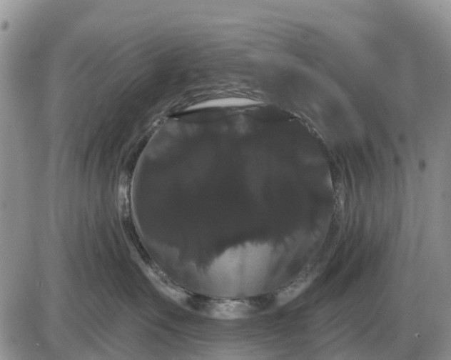X0000085220527200703231536