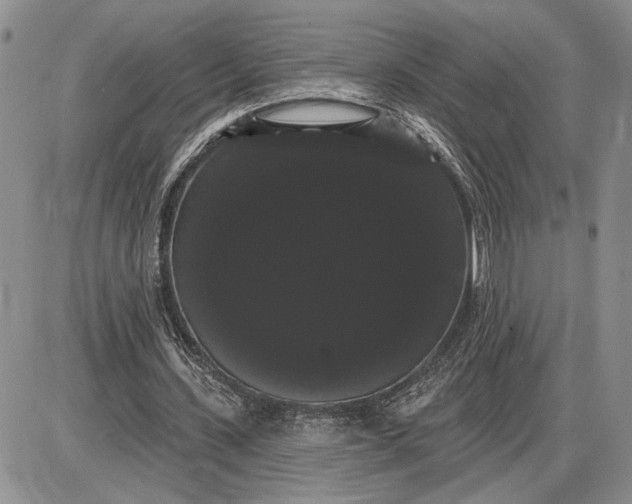 X0000085220531200703231535