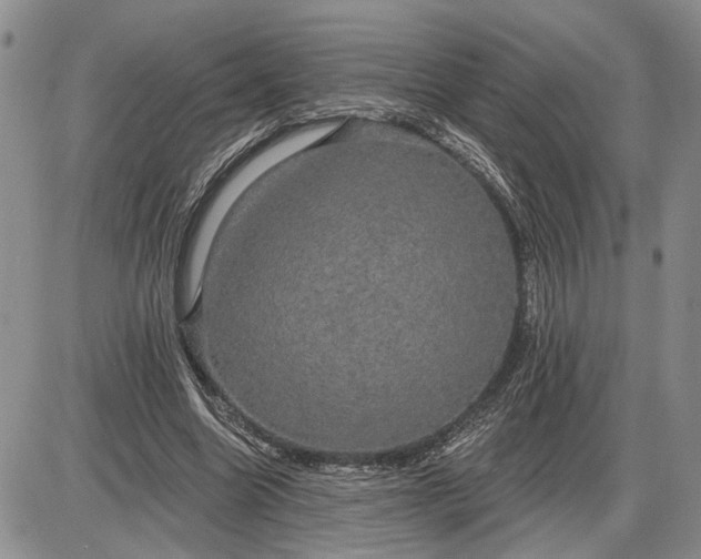 X0000085220538200703231535