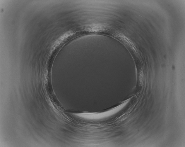 X0000085220540200703231535