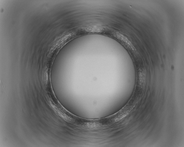 X0000085220541200703231535
