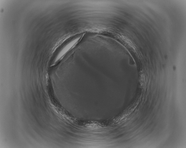 X0000085220544200703231535