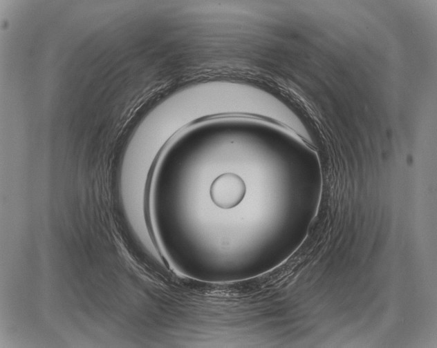 X0000085220546200703231535