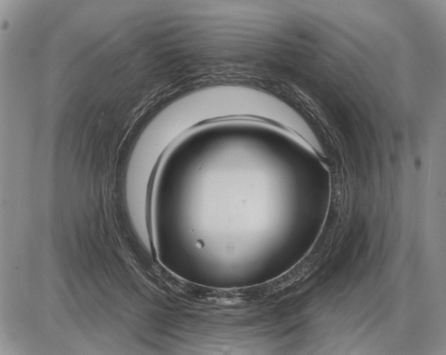 X0000085220552200703231535