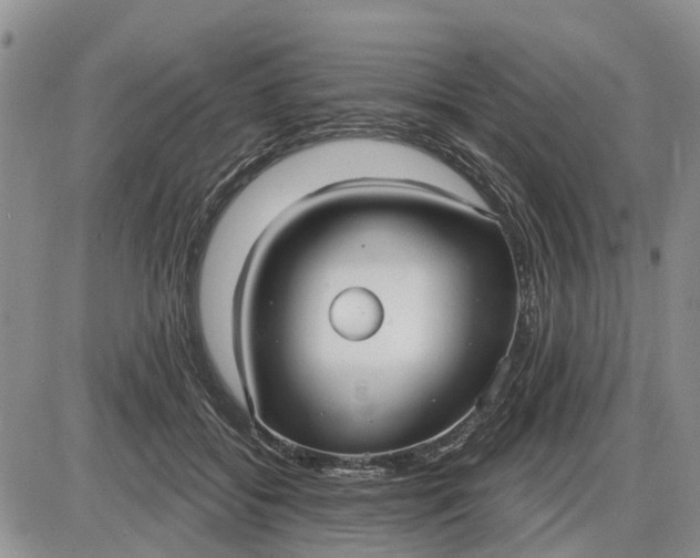 X0000085220556200703231535