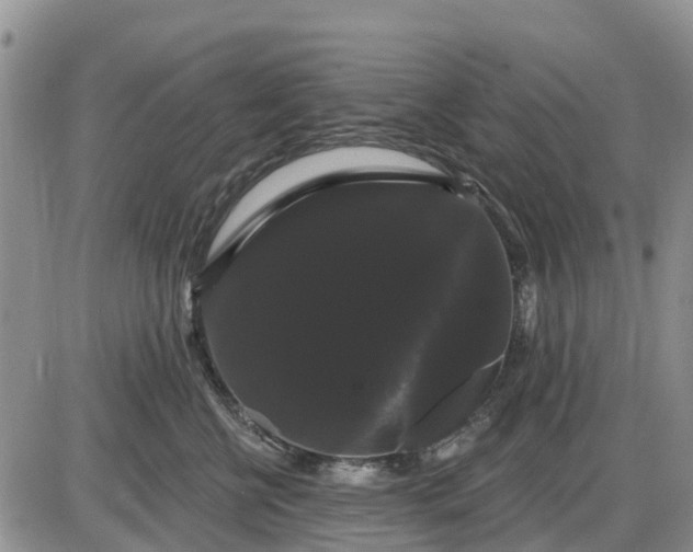 X0000085220570200703231535