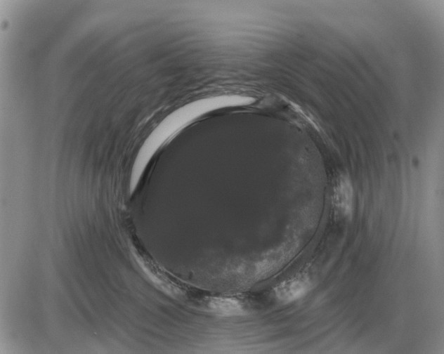 X0000085220572200703231536