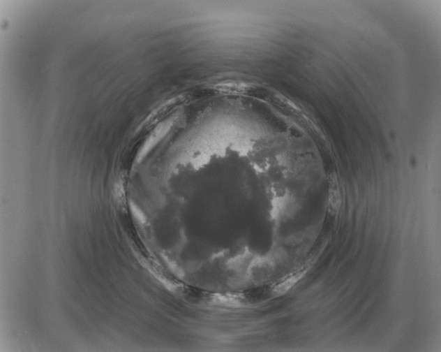 X0000085220573200703231536