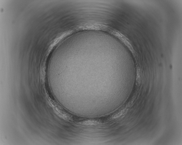 X0000085220578200703231535