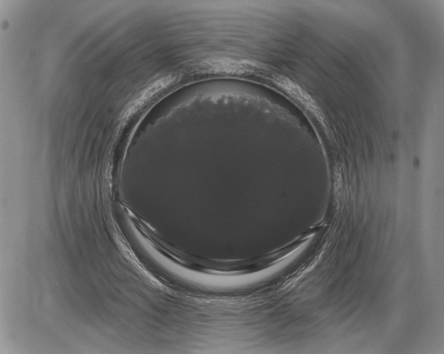 X0000085220581200703231535