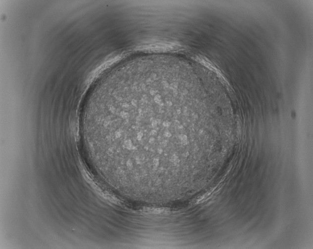 X0000085220582200703231535