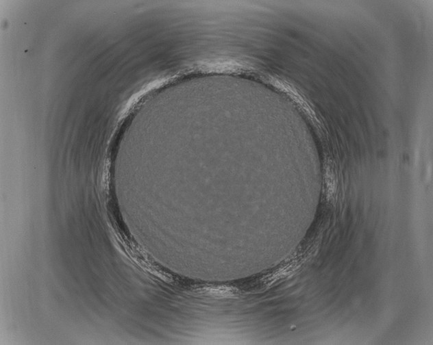 X0000085220583200703231535