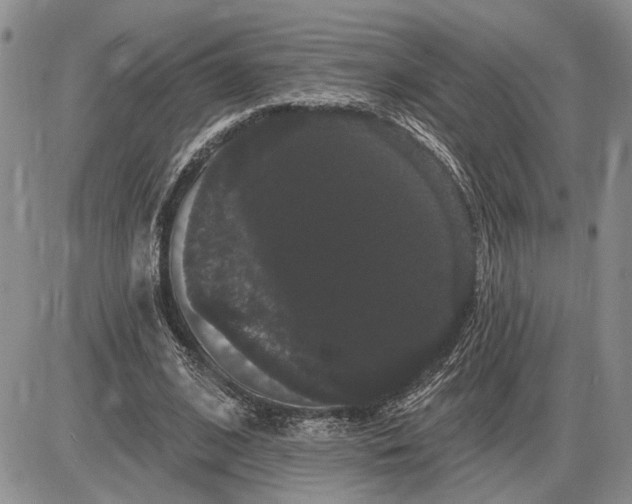 X0000085220584200703231535