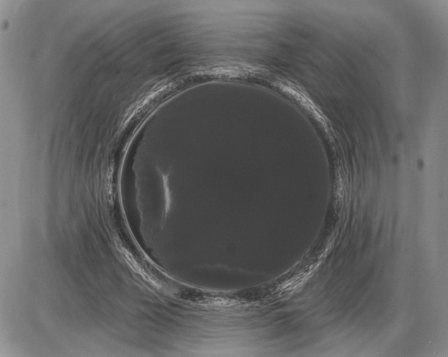 X0000085220585200703231535