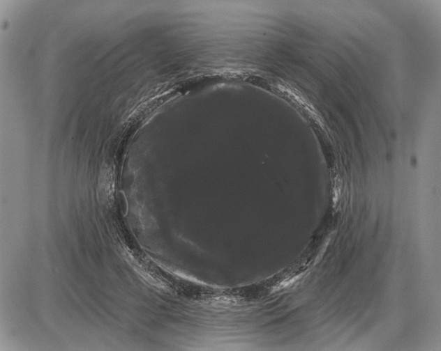 X0000085220593200703231535