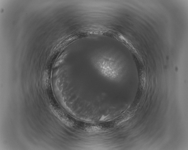 X0000085220594200703231535