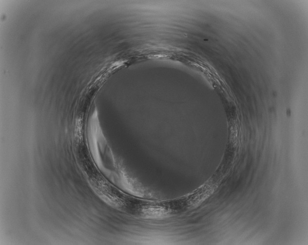 X0000085220598200703231534