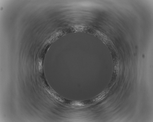 X0000085220610200703231534