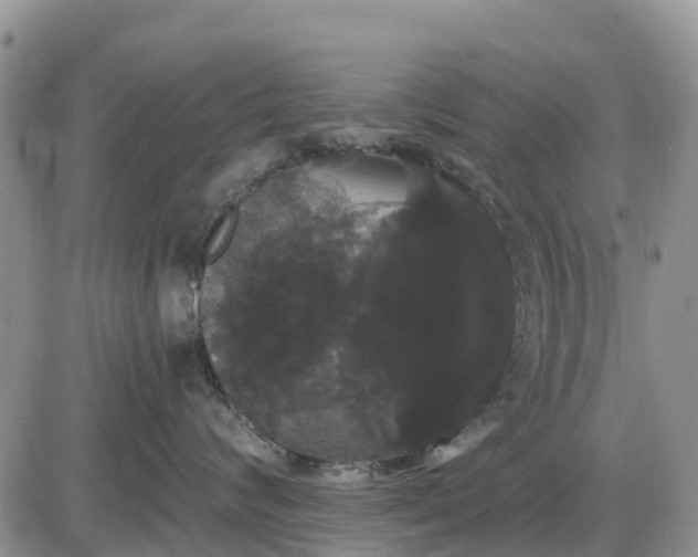 X0000085220624200703231534