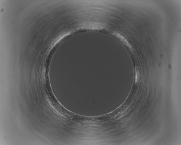 X0000085220627200703231533