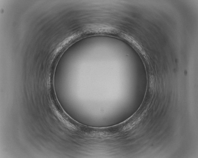 X0000085220629200703231533