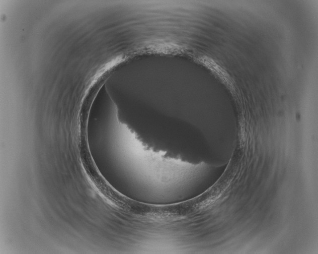 X0000085220630200703231533