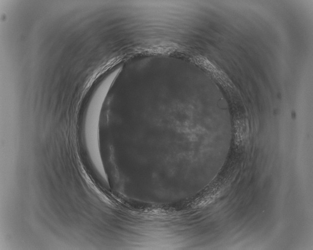 X0000085220634200703231533