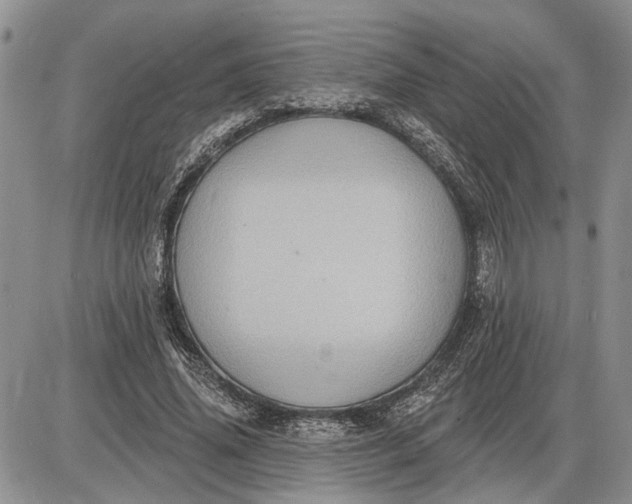 X0000085220636200703231533