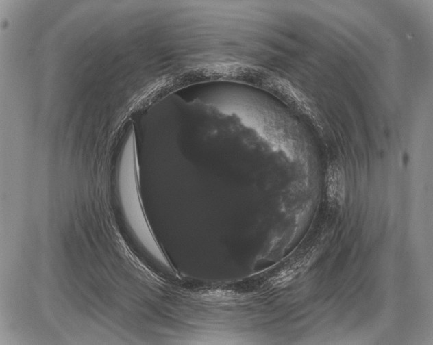 X0000085220637200703231533
