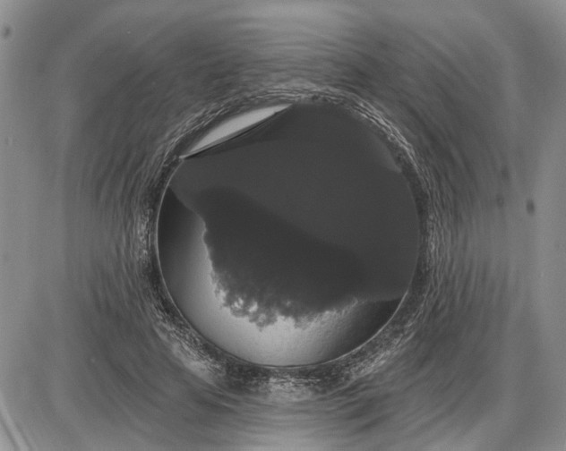 X0000085220641200703231533