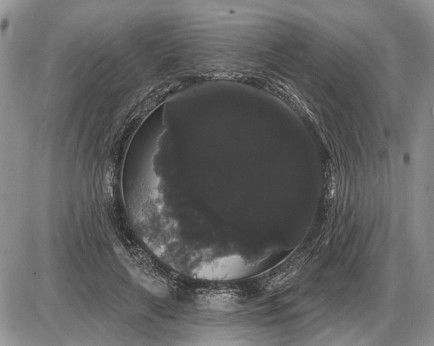 X0000085220643200703231534