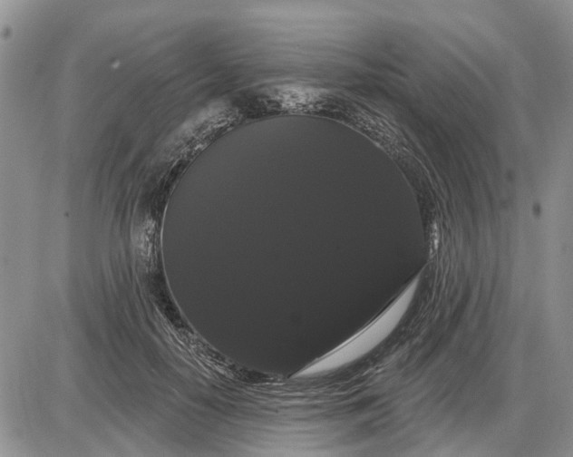 X0000085220650200703231534