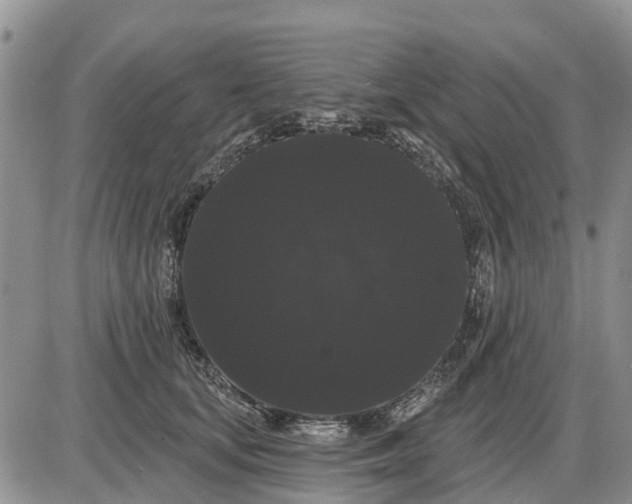 X0000085220659200703231534