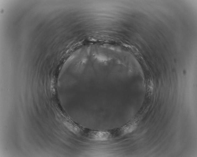 X0000085220663200703231534