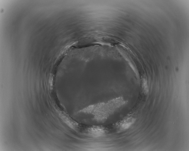 X0000085220668200703231534