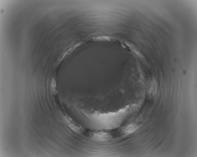 X0000085220669200703231534