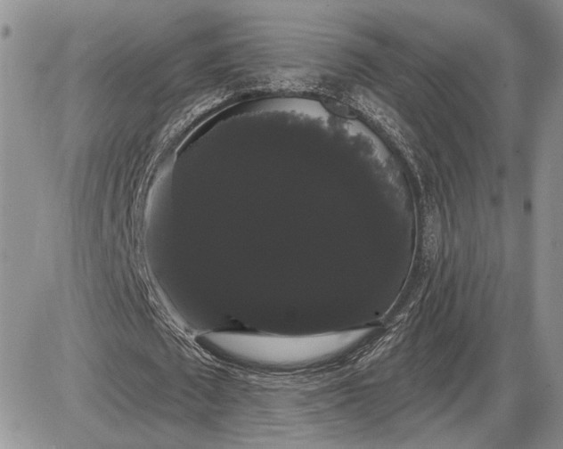 X0000085220673200703231533