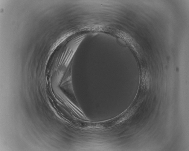 X0000085220674200703231533
