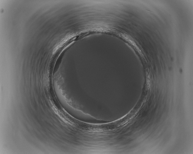 X0000085220677200703231533